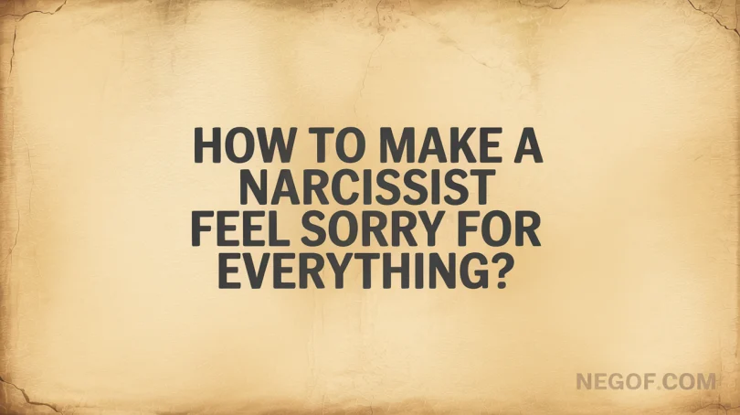 How To Make A Narcissist Feel Sorry For Everything?